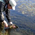 Feranando «Fenia» Cassanello nos cuenta que es lo que tenemos que observar en el río […]