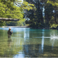 Por Alfredo Zubiri Escribir sobre el Parque Nacional Los Alerces siempre me ha costado trabajo, […]