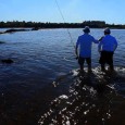 Los invitamos a conocer otro de los increíbles destinos que ofrece Uruguay para la pesca […]