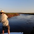 En este episodio visitaremos la provincia de Corrientes para conocer uno de los mejores destinos […]