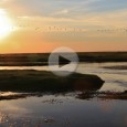 Continuamos en la provincia de Corrientes, en los Esteros del Iberá. Junto a Tito Sáenz […]