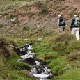 continuamos desde la cordillera de los Andes, en Tupungato, Mendoza. Pescaremos truchas Arcoíris y Fontinalis […]